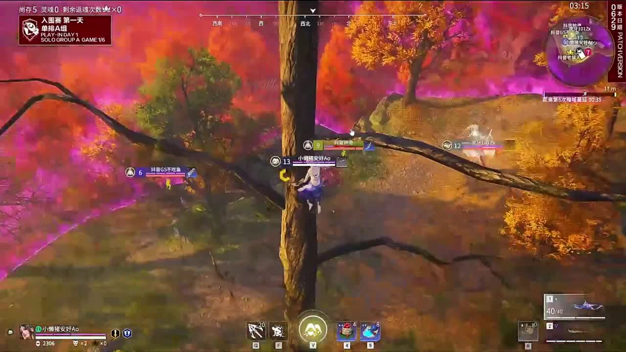 看看锦鲤杯A组 第5段