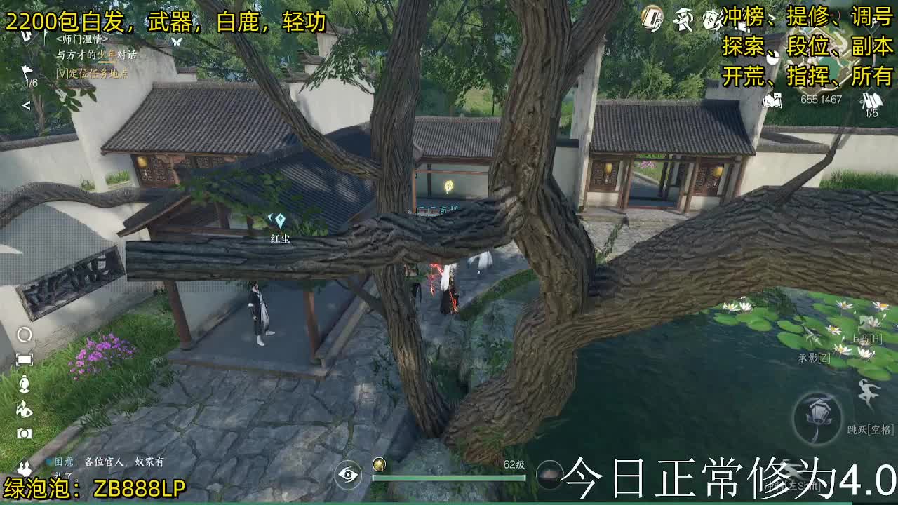 内测十大高手在榜，第一九灵 第1段