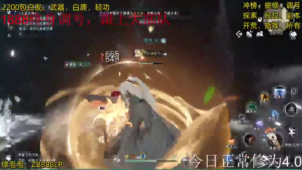 内测十大高手在榜，第一九灵 第11段