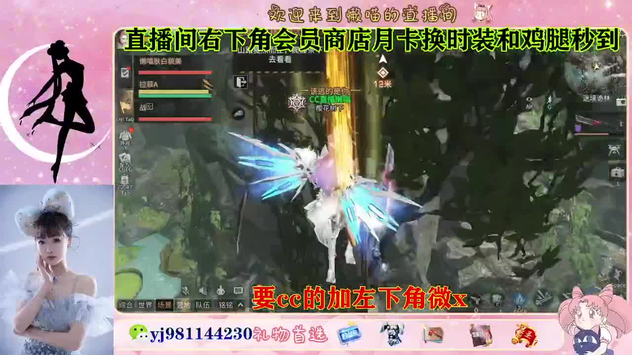 永久cc预定进 第6段