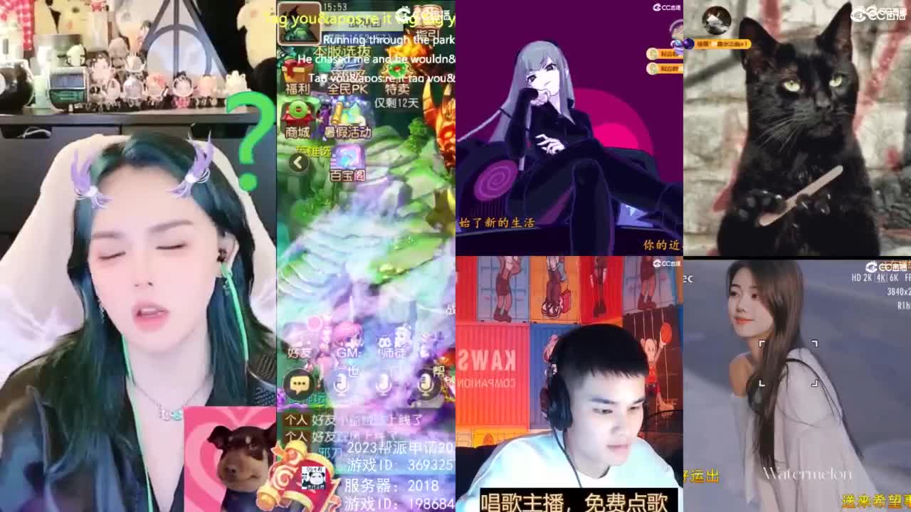 2018唱歌的勇武菜猪/点唱主播 第10段