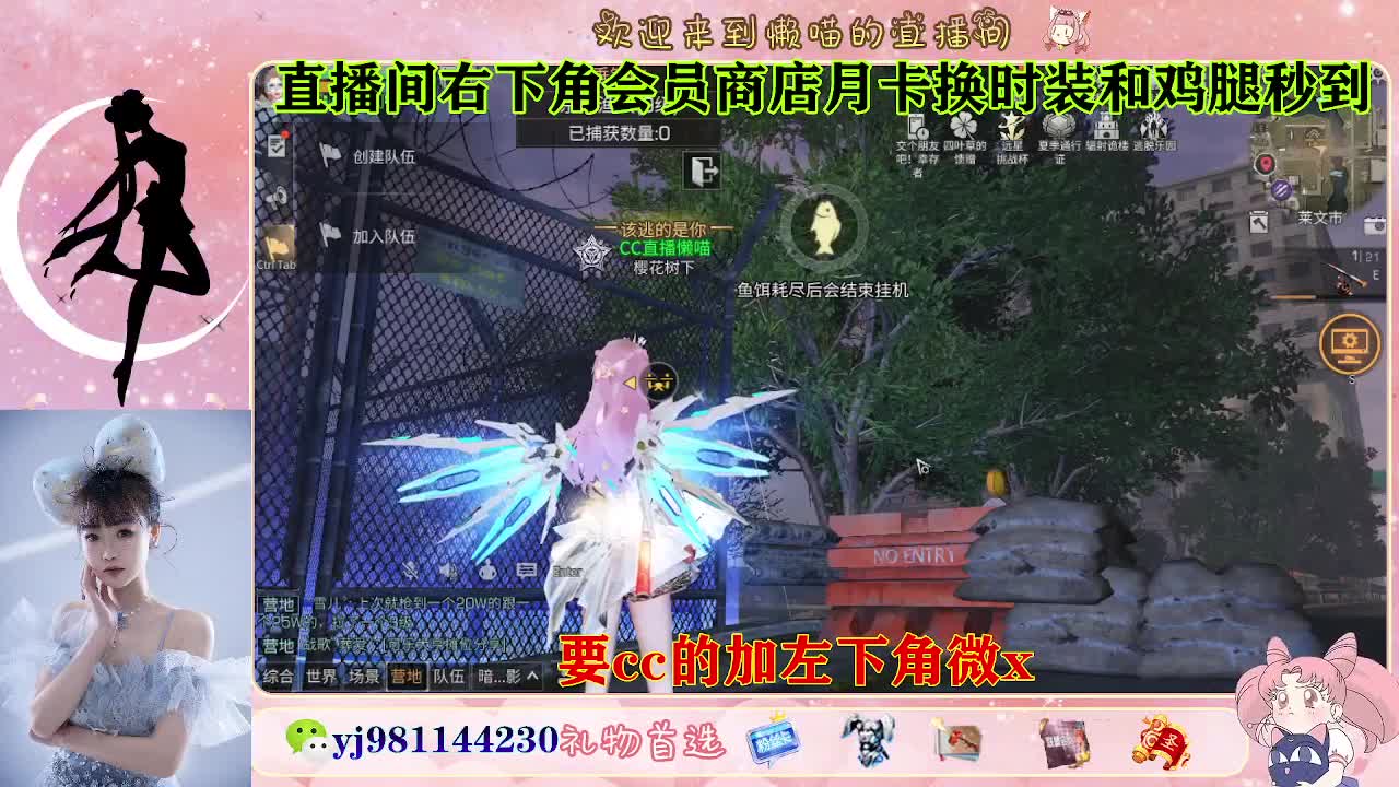 永久cc预定进 第5段