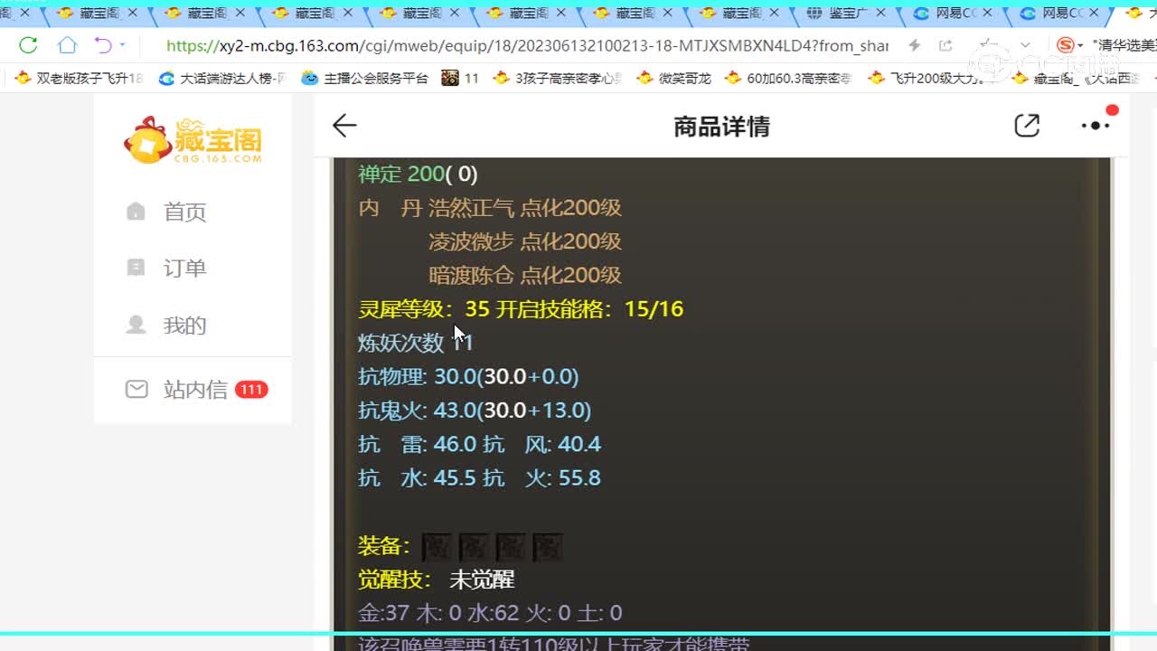 齐云灵脉神兽剑
