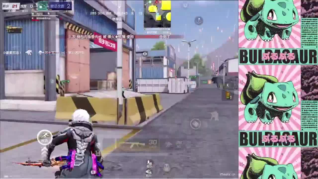 新手 第4段