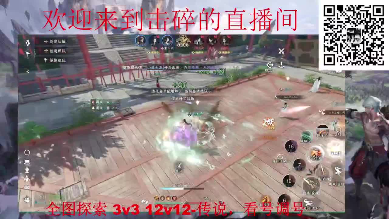 全职业论武 代肝 调号 第4段