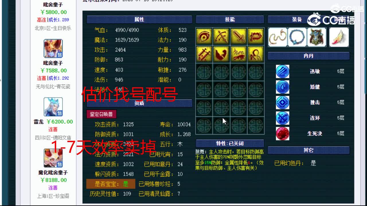 【主播点评】猫灵