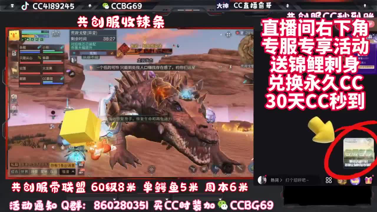 共创服CC秒到带联盟 第6段