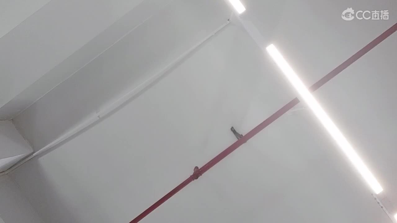 需要你关心的小可奥