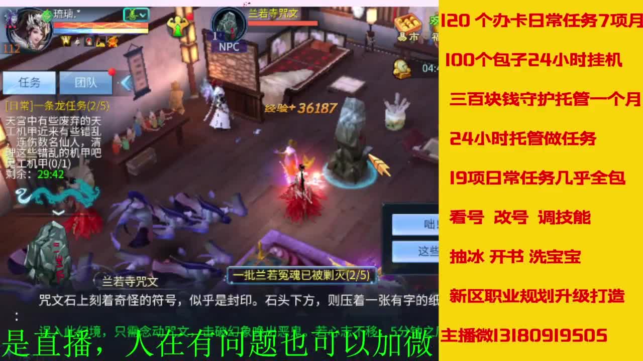 接全天带队，接托管卡龙欢迎滴滴 第2段