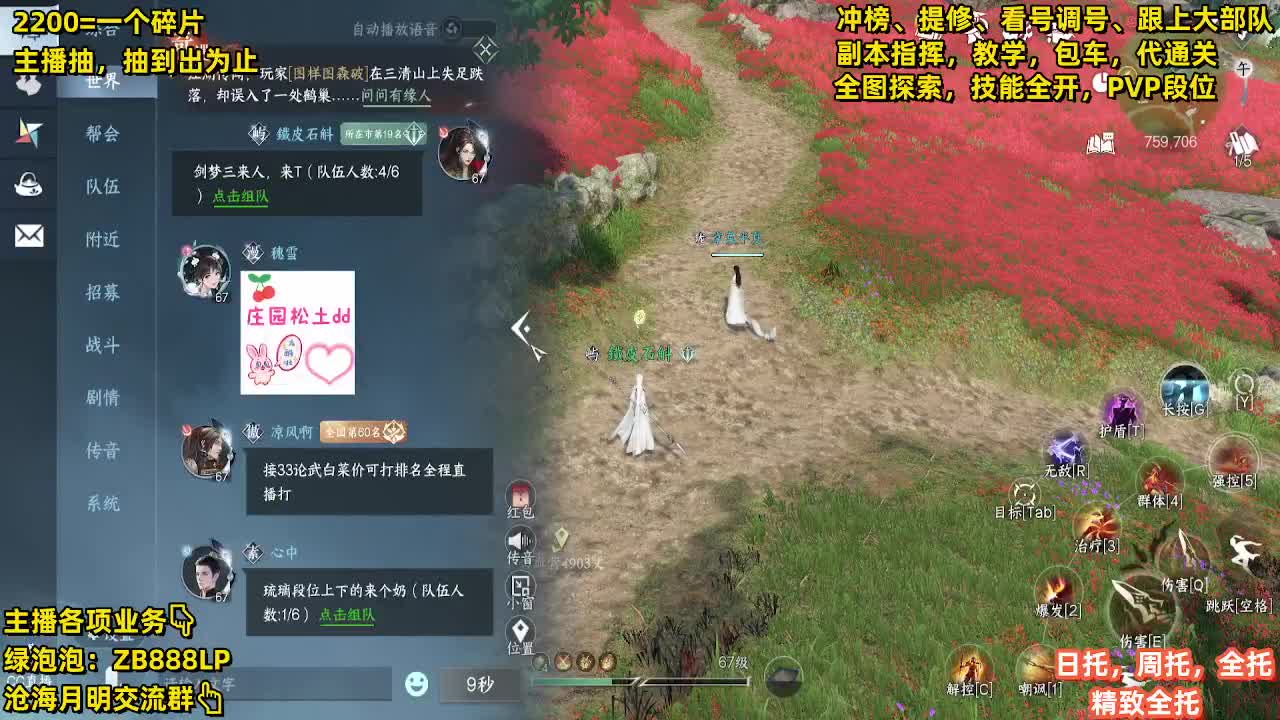 第一九灵，副本教学，指挥 第5段