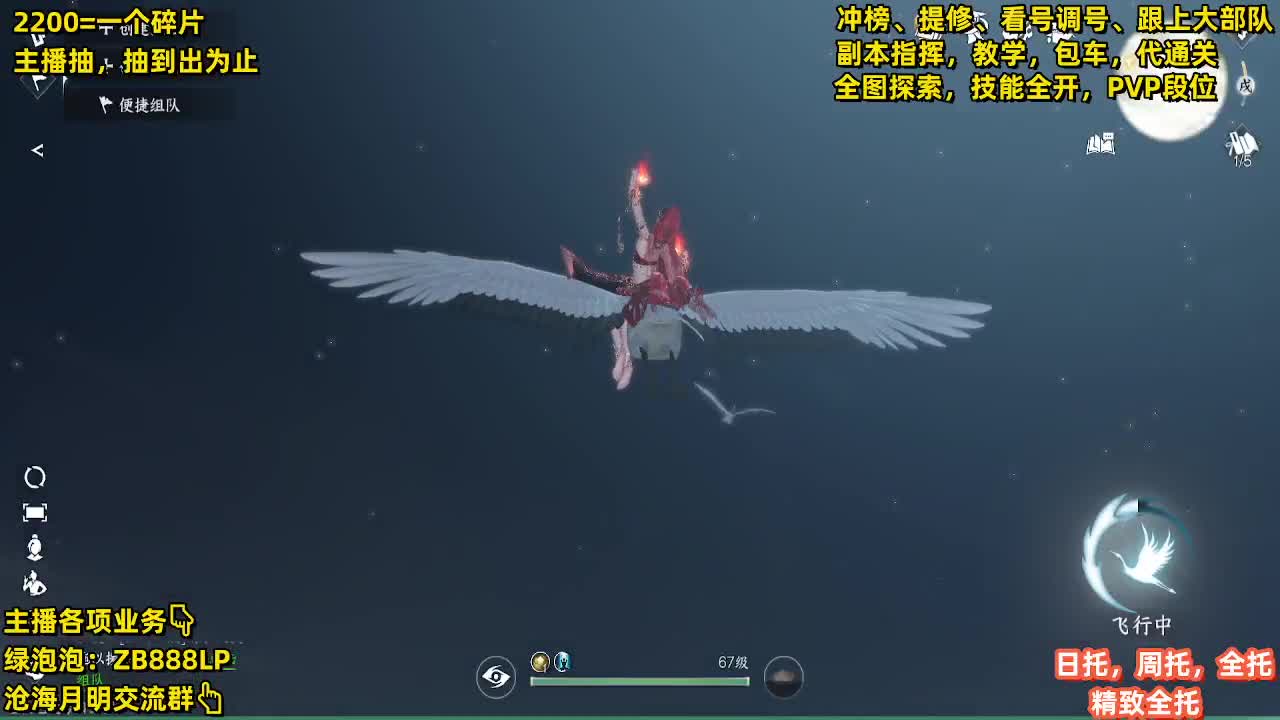 第一九灵，副本教学，指挥 第9段