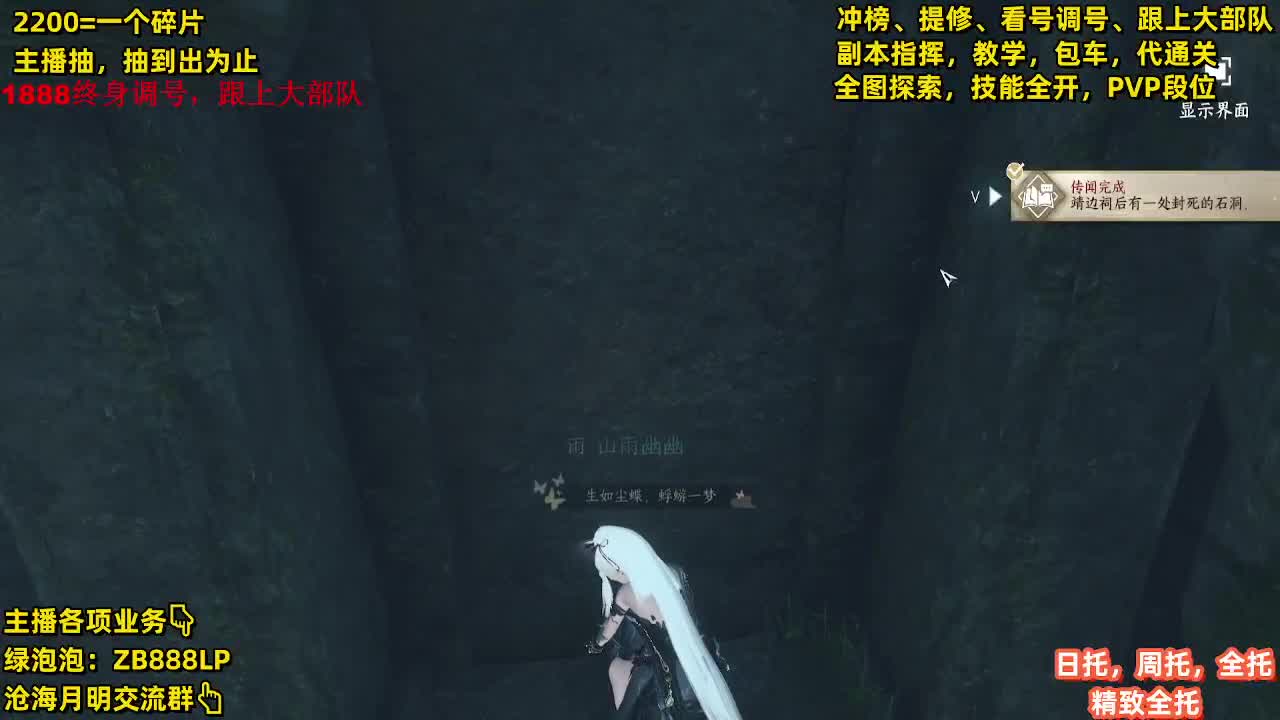 第一九灵，副本教学，指挥 第9段