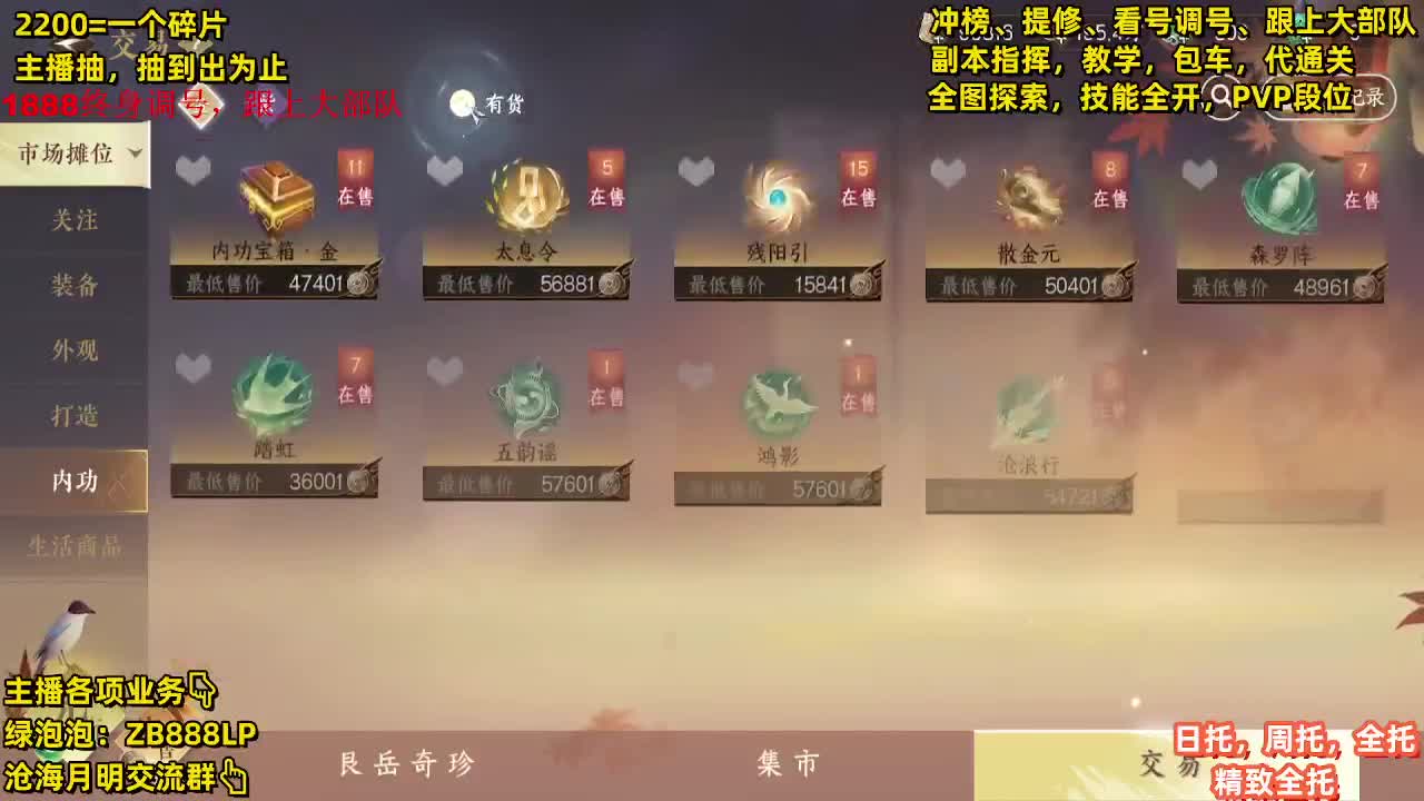 第一九灵，副本教学，指挥 第11段