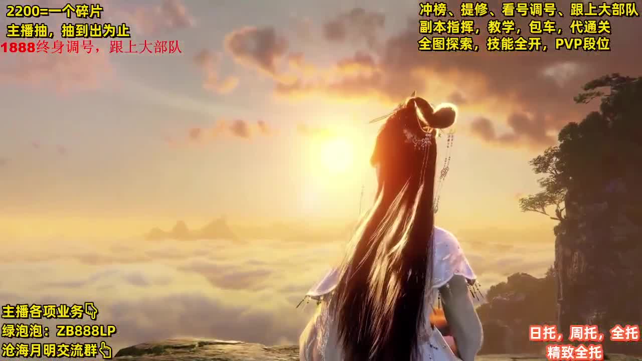 第一九灵，副本教学，指挥 第12段