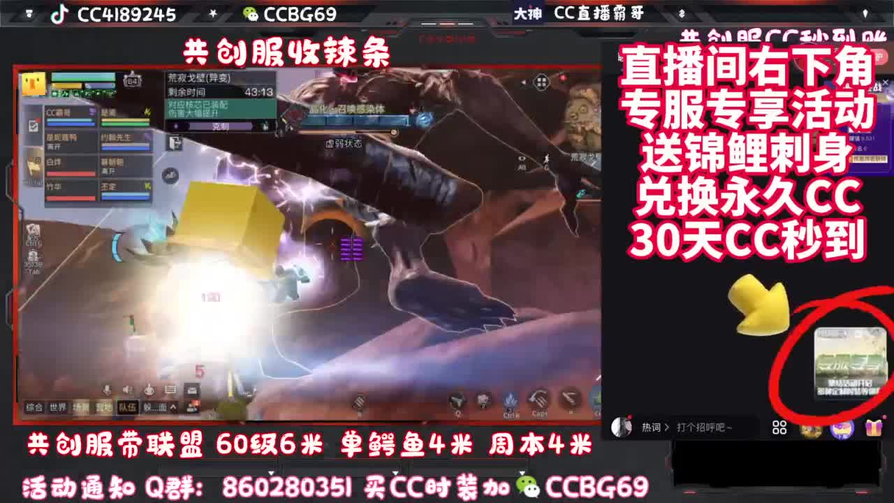 共创服CC秒到带联盟 第6段