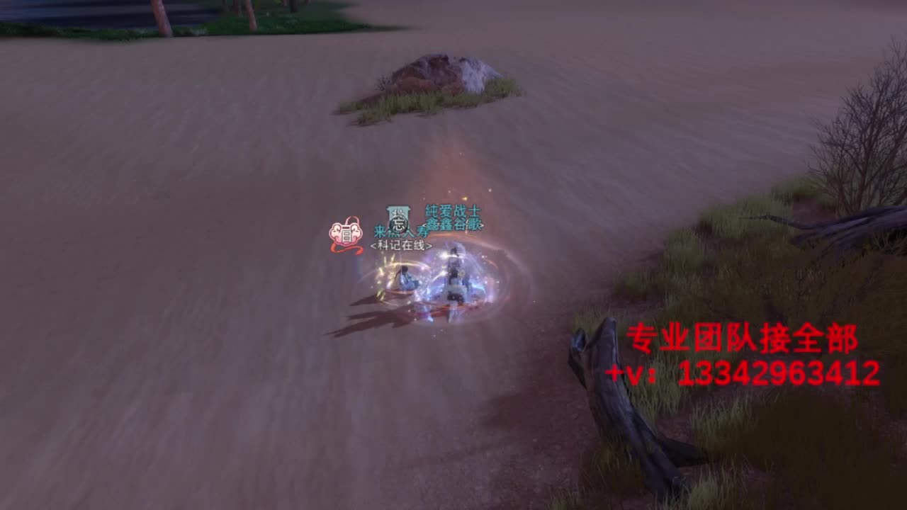 蹲个全托接论武试剑 第13段