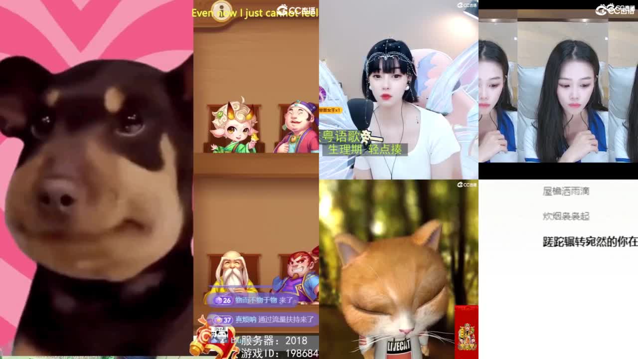 2018唱歌的勇武菜猪/点唱主播 第3段