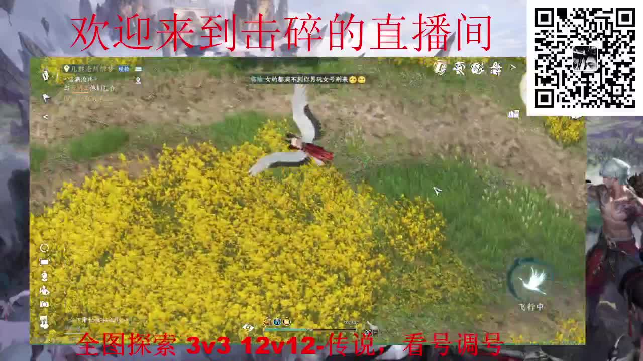 全职业论武 调号 探索 第9段