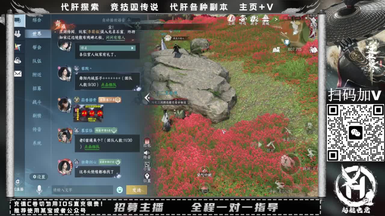 什么都接！直接悬赏平台下单即可！百人团队 第2段