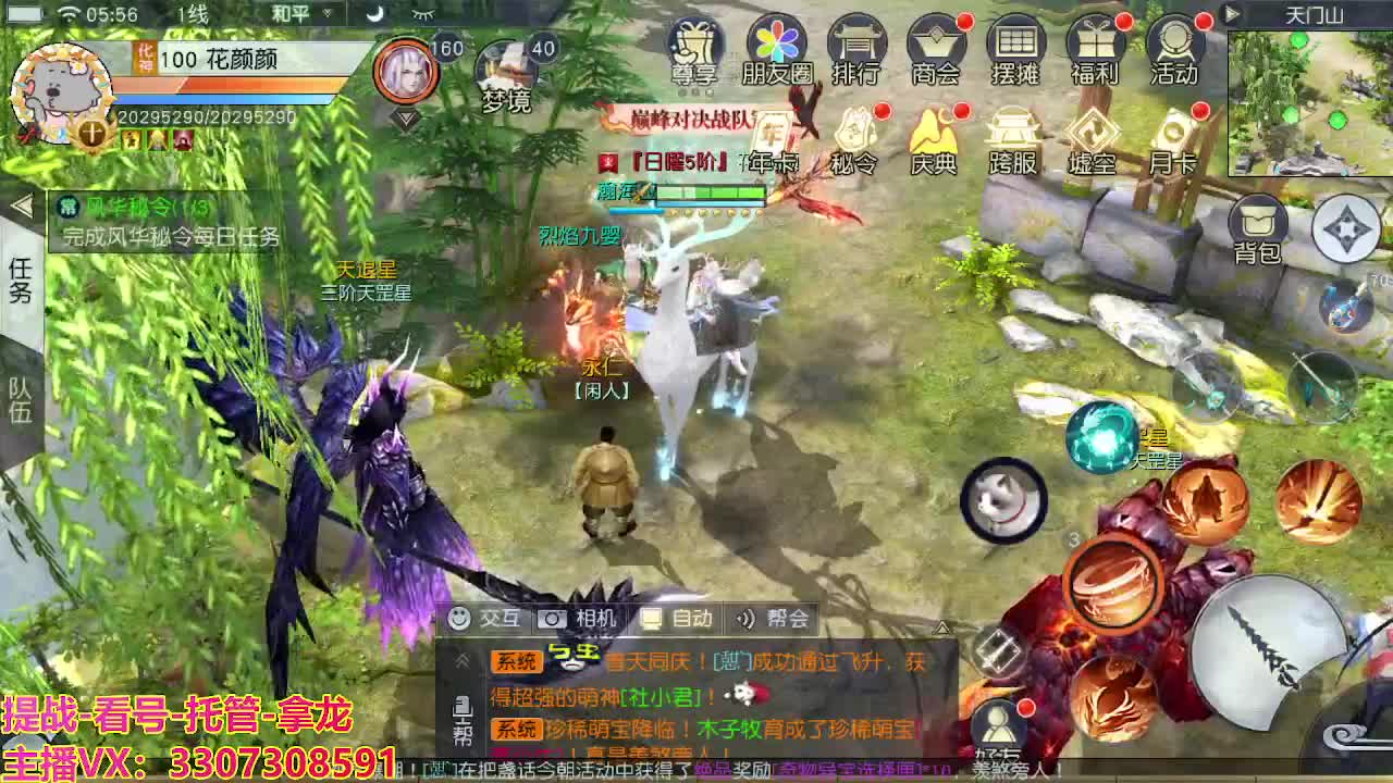 看号提战托管 第11段