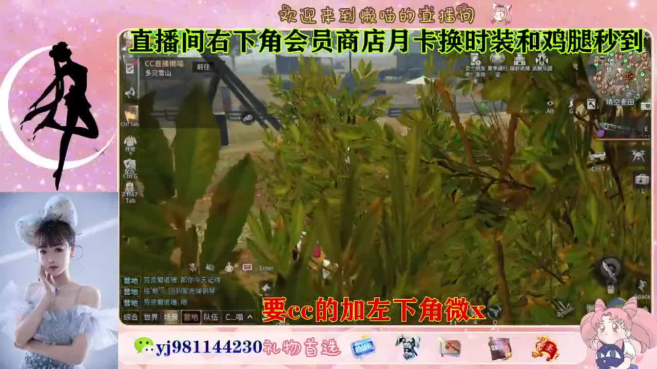 共创永久cc来啦 第8段