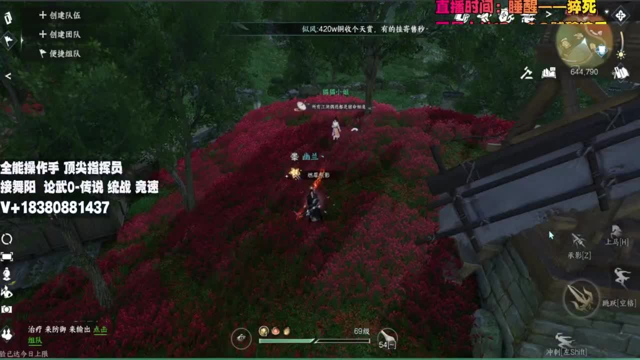 顶尖指挥 接舞阳 论武 第4段
