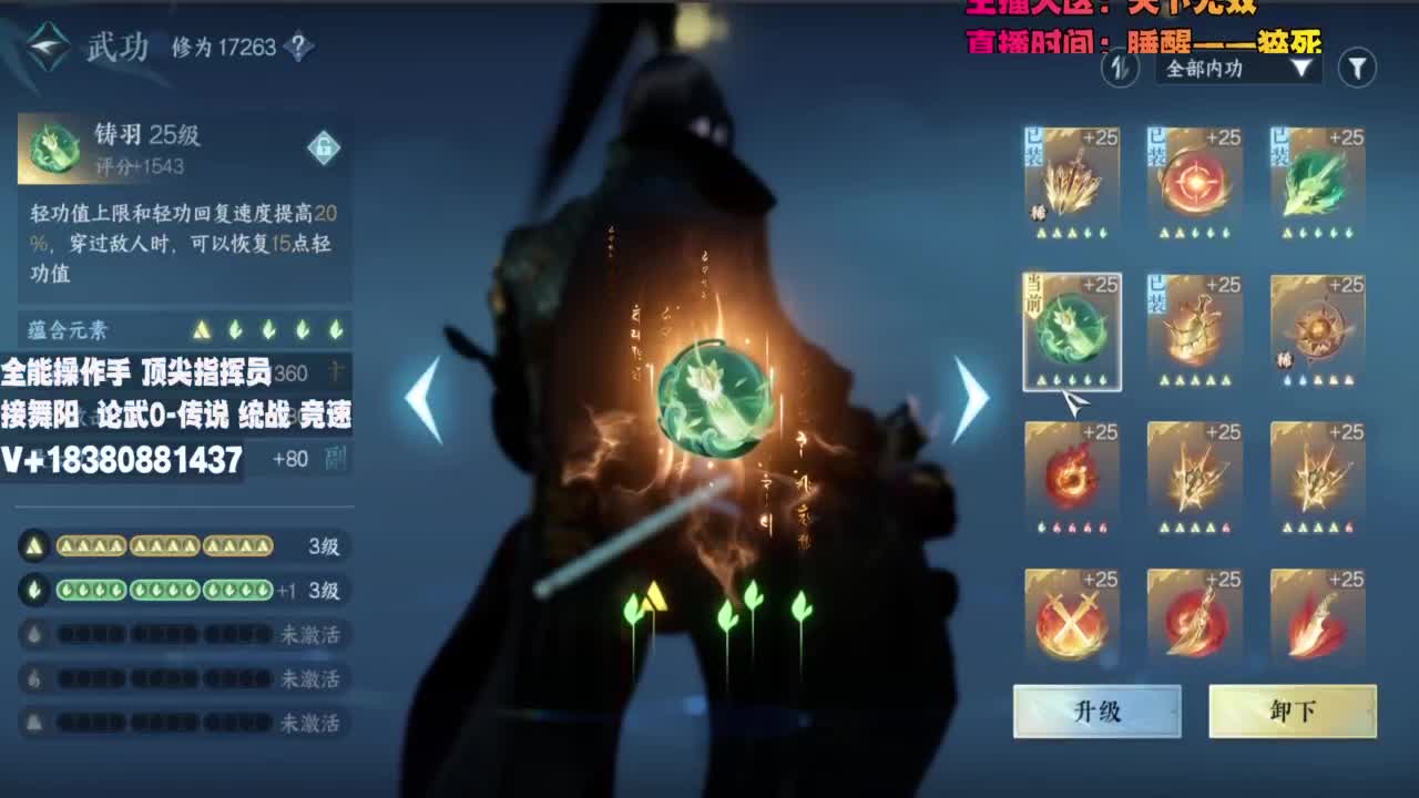 顶尖指挥 接舞阳 论武 第11段