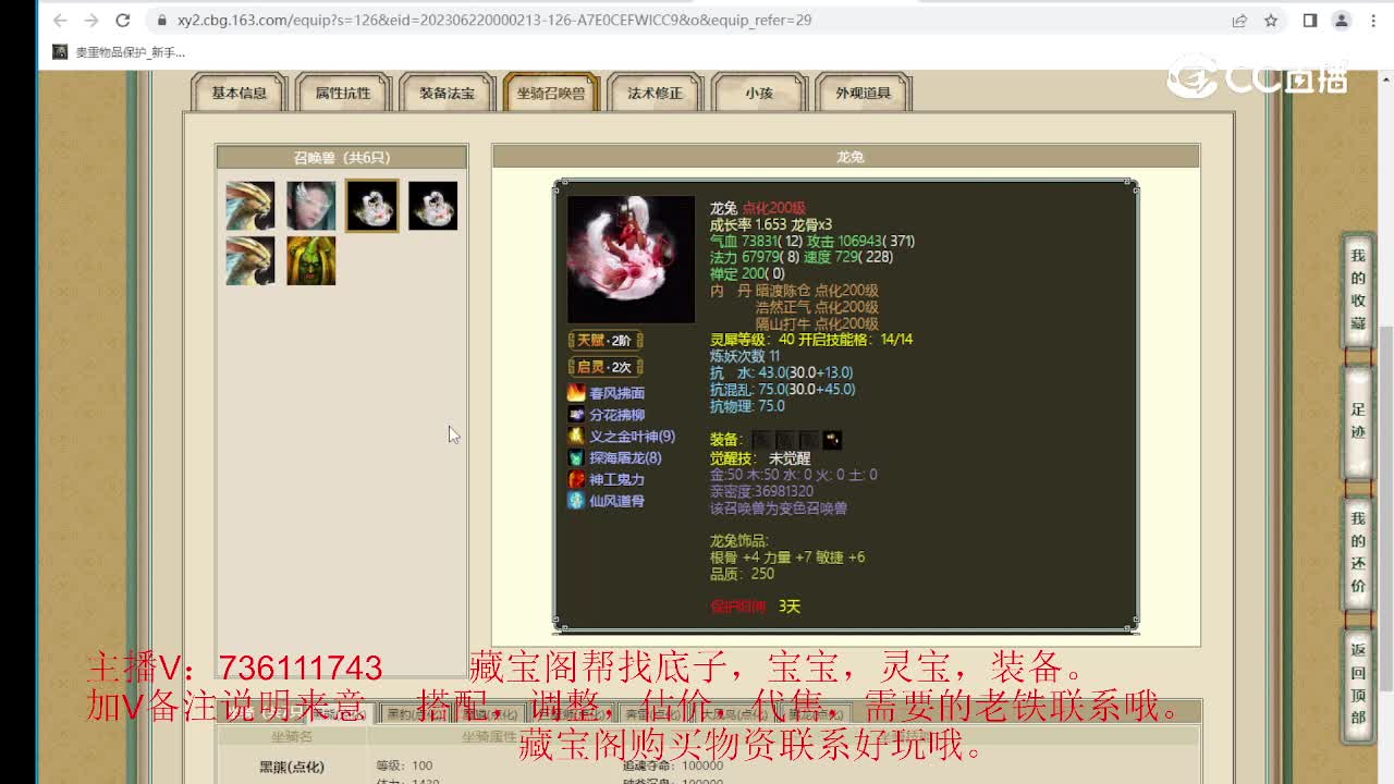 龙的传人200级男魔