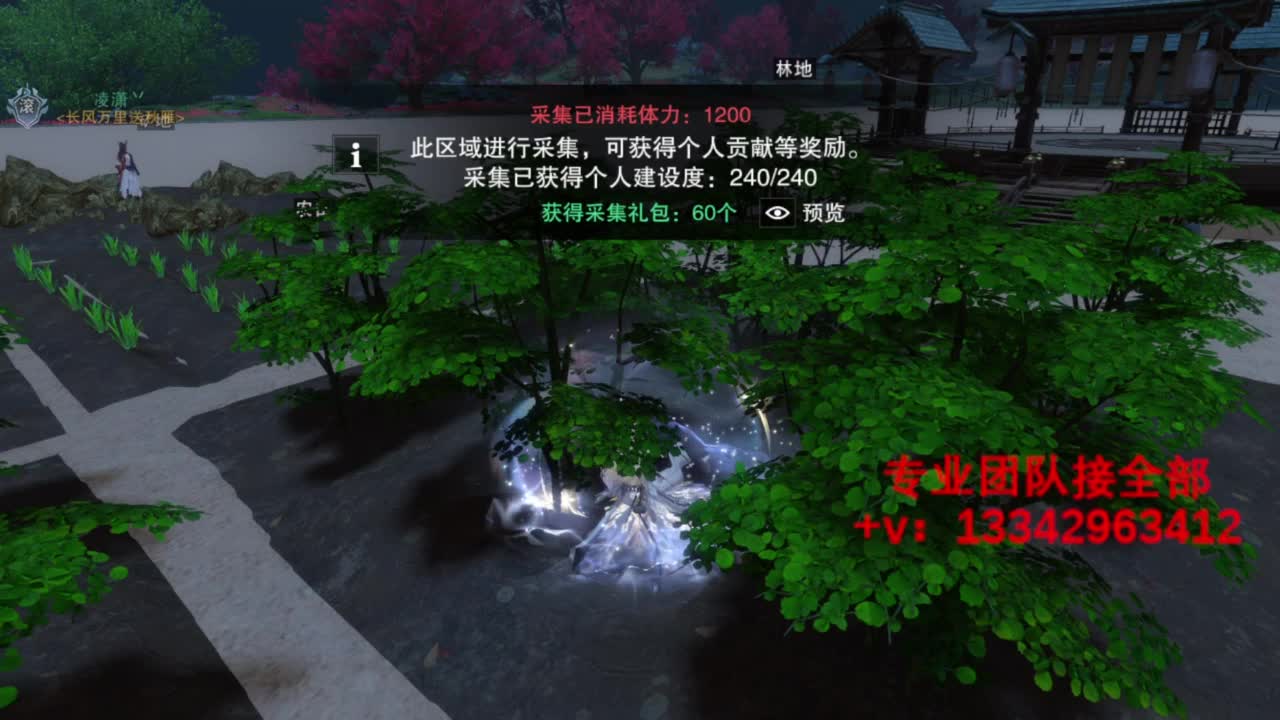 蹲个全托接论武试剑 第12段