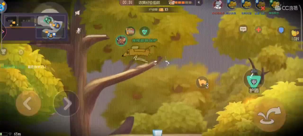 新赛季   鼠天梯 第1段
