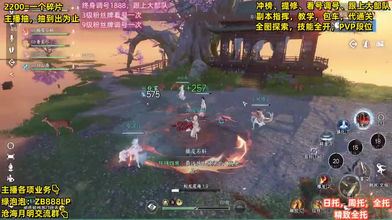 内测第一九灵，十大高手 第13段