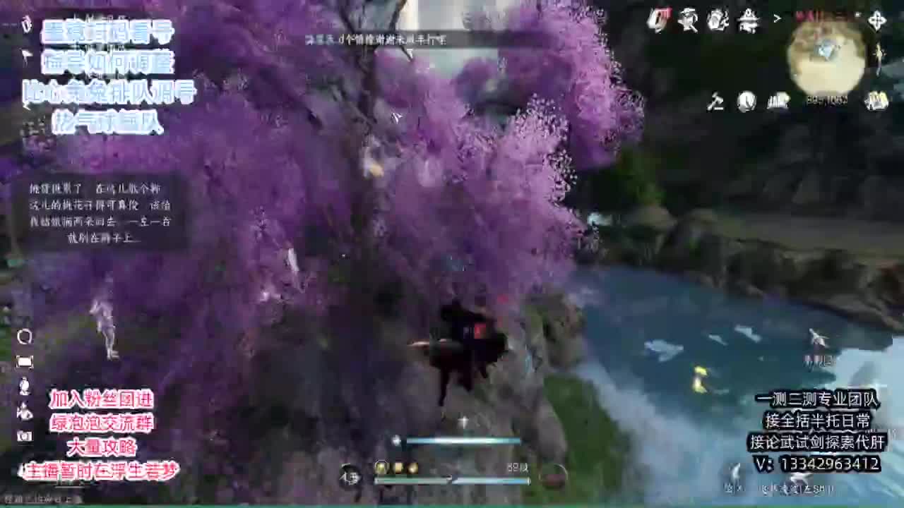 蹲个全托接论武试剑 第4段