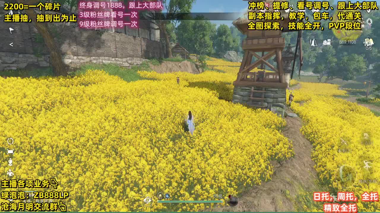 内测第一九灵，十大高手 第7段