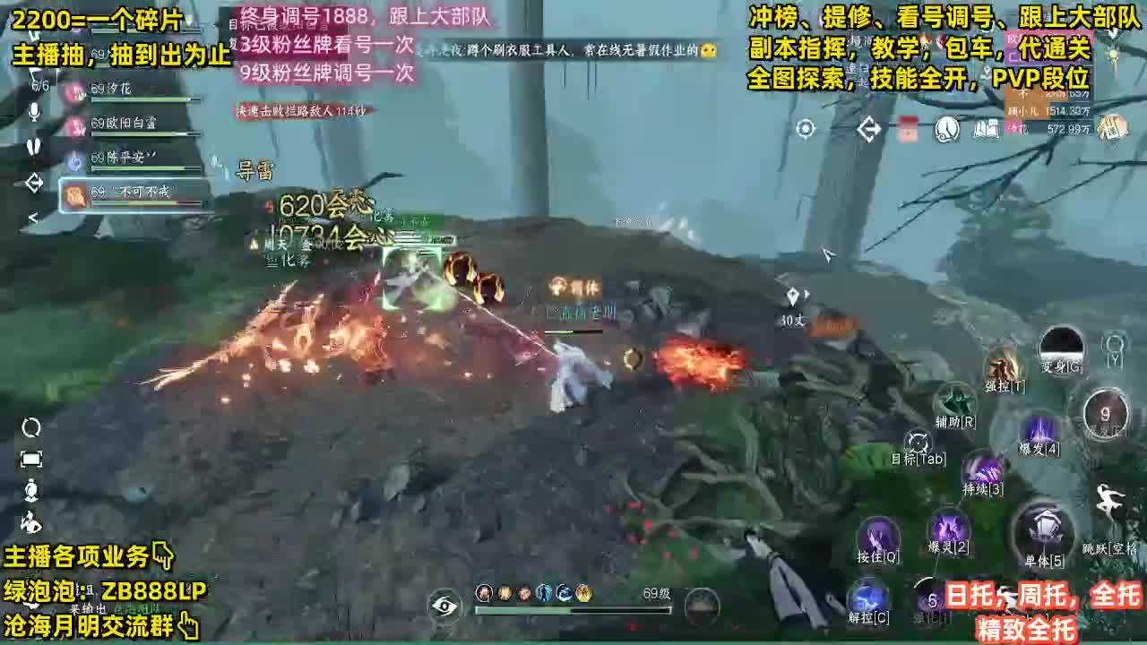 内测第一九灵，十大高手 第11段