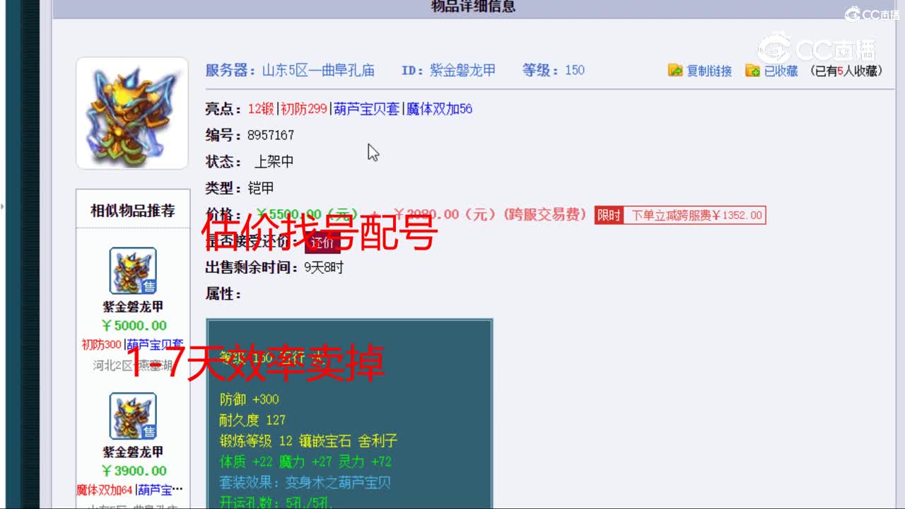 【主播点评】紫金磐龙甲