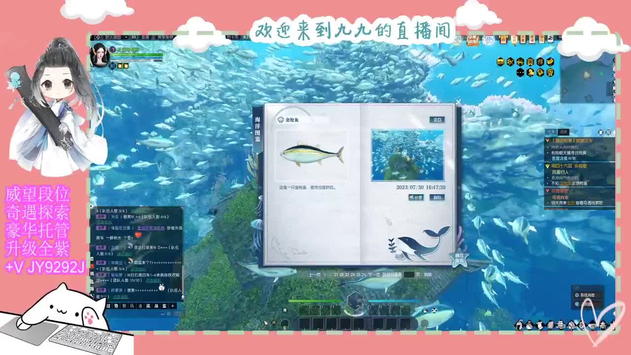 铛铛铛~ 第11段