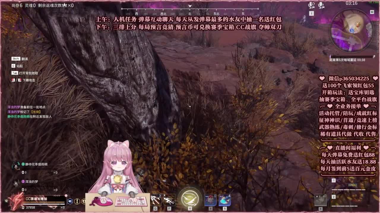水友赛完赛送双刀卡~ 第5段