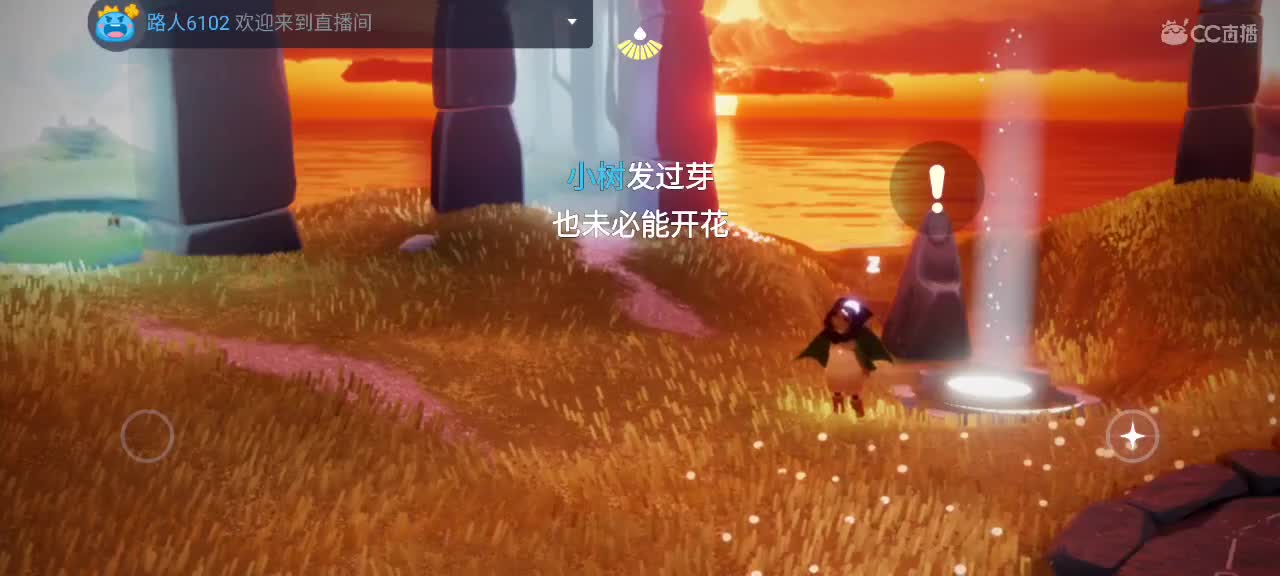 午后光遇，悠闲娱乐 第8段