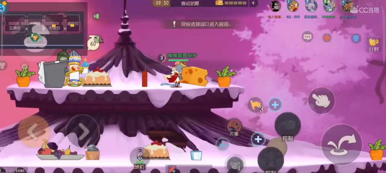 来个猫单，猫鼠天梯 第2段