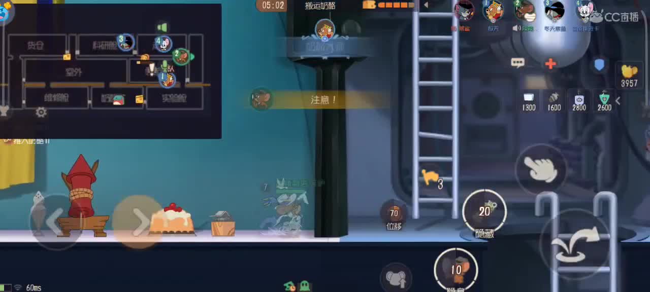 来个猫单，猫鼠天梯 第2段