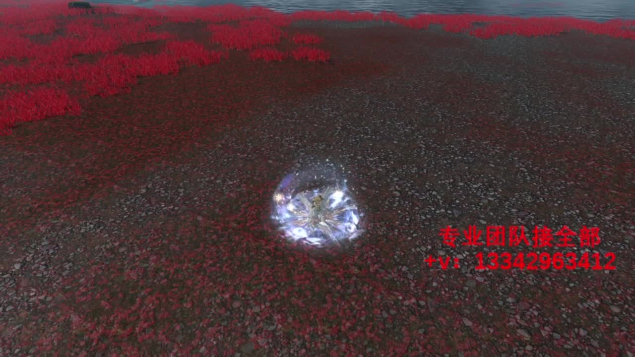 蹲个全托接论武试剑 第10段