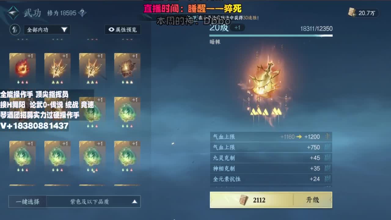 顶尖指挥 接舞阳 论武 第3段