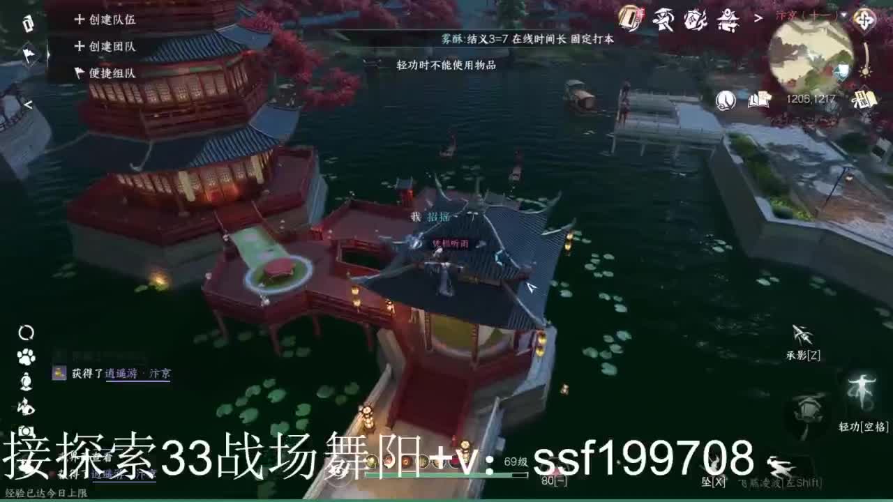 专业代肝团队承接各种业务 第9段