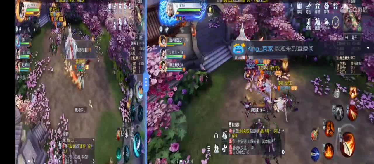 免费送点赞支持一下【谢谢大家】 第1段