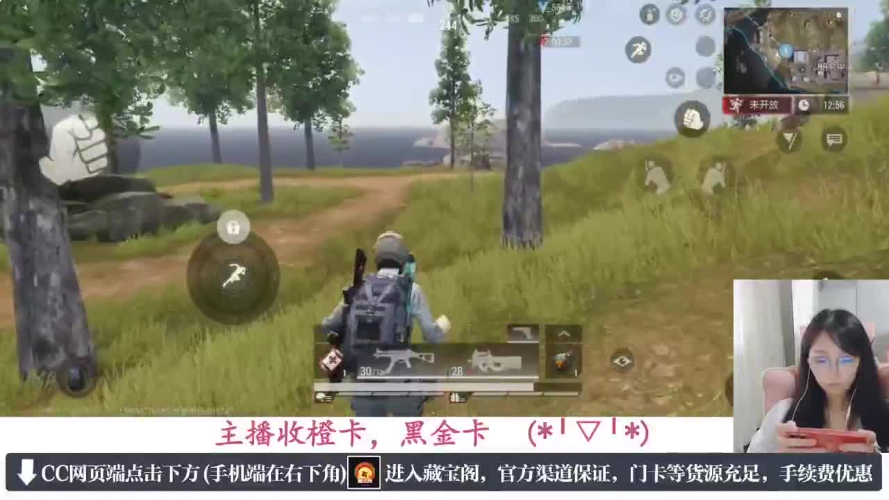 一只独狼 第1段