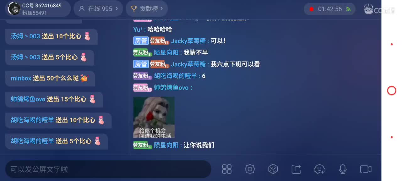 来个猫单，猫鼠天梯 第4段