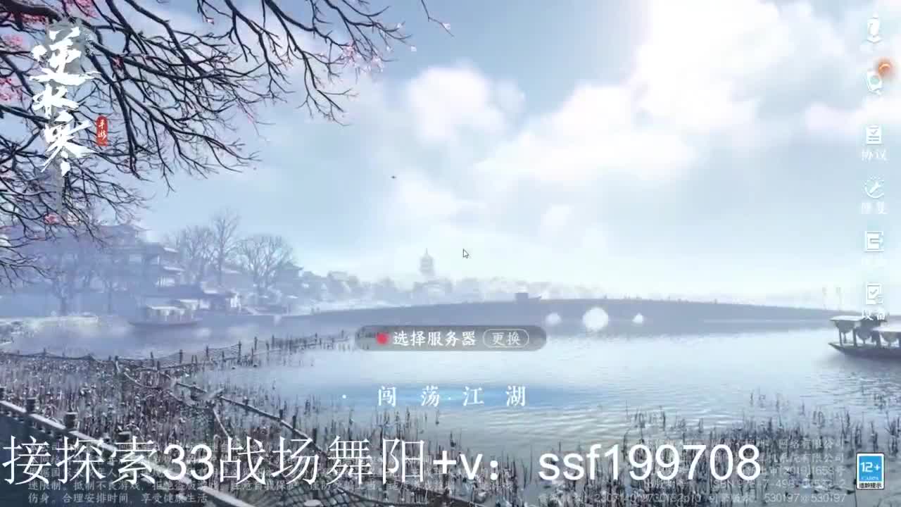 专业代肝团队承接各种业务 第8段