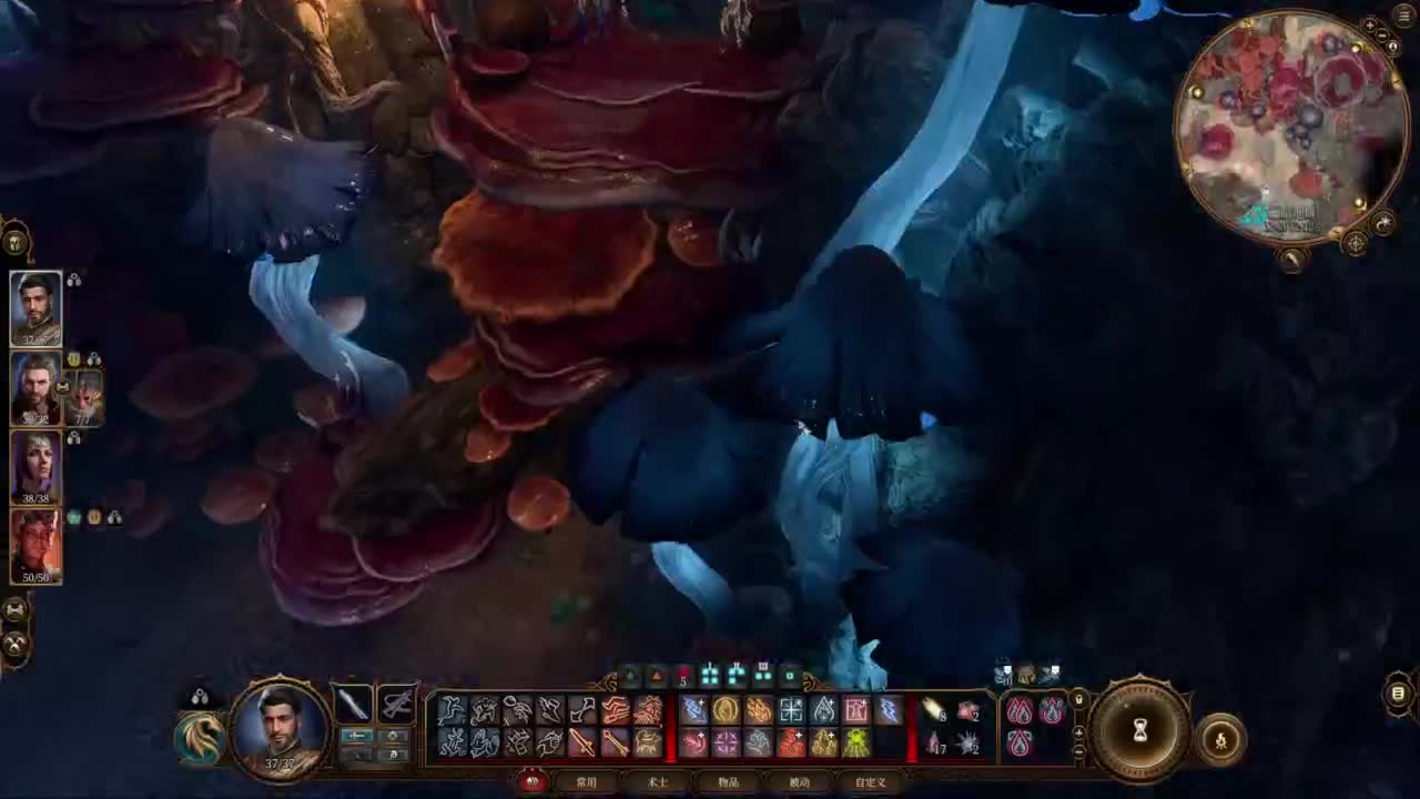 随便玩系列-博得之门3 第7段