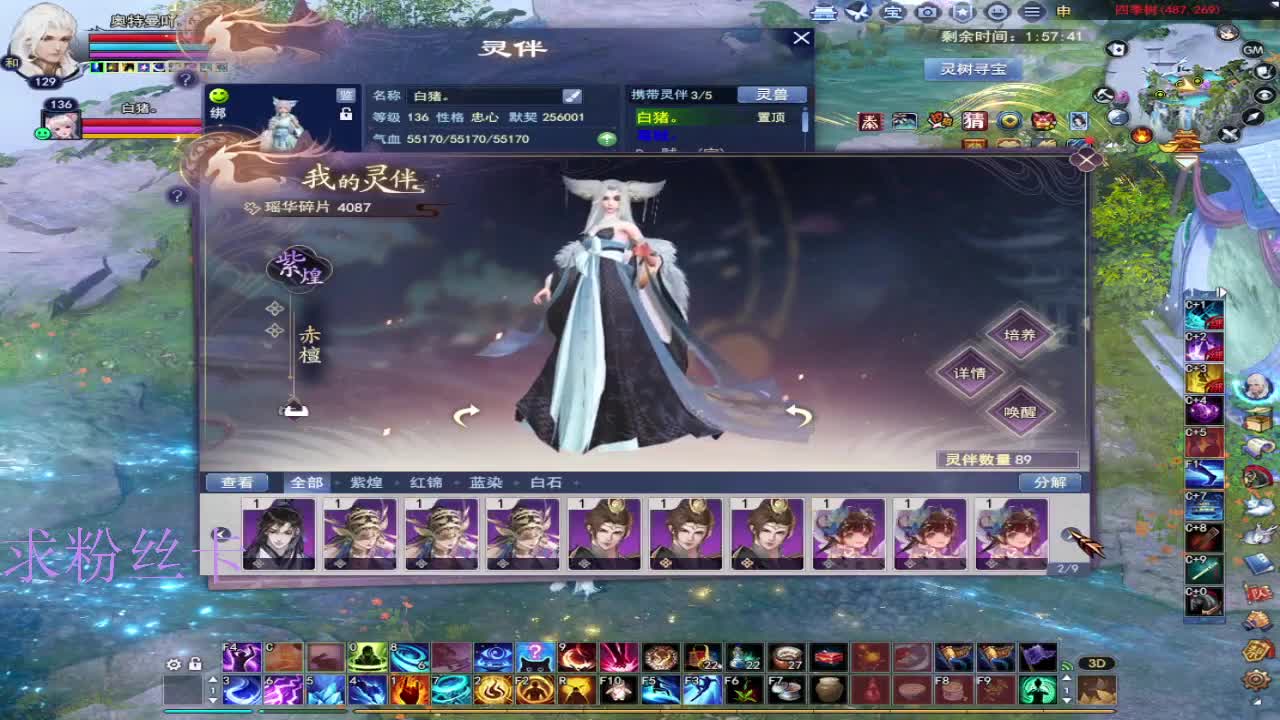 接资源~接个全托号 第9段