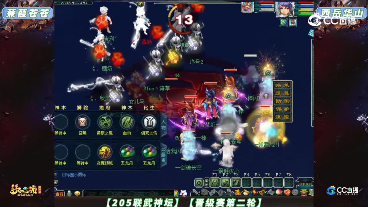 【205联武神坛】【晋级赛第二轮】西岳华山 VS 蒹葭苍苍【CC情报站】